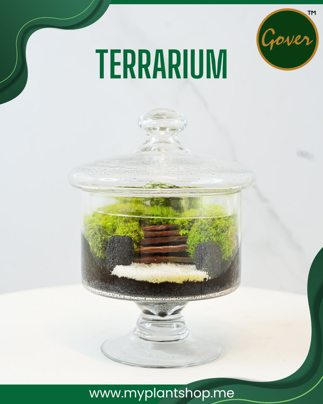 Terrarium