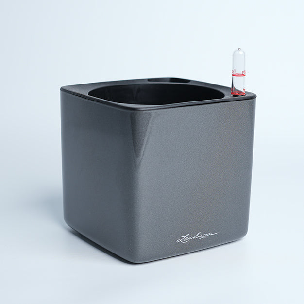 Lechuza Cube Glossy