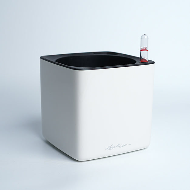Lechuza Cube Glossy