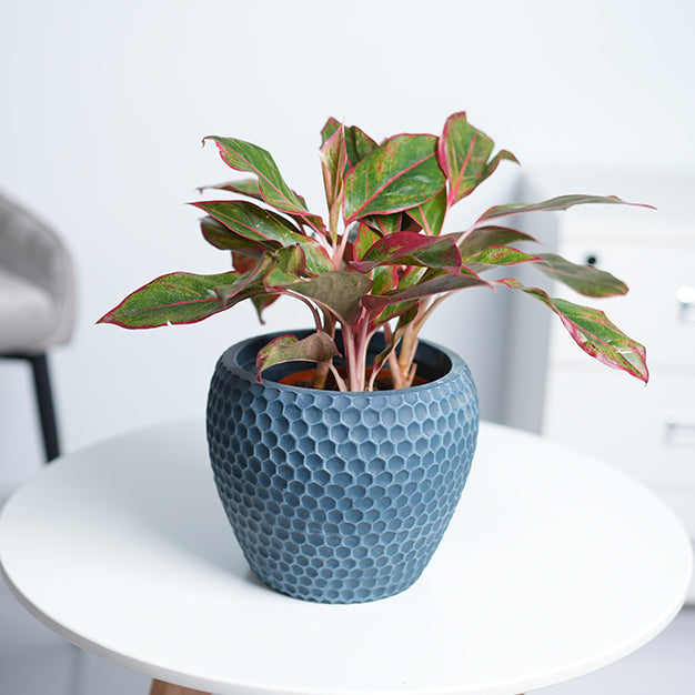 Dotted Globe GRC Planter