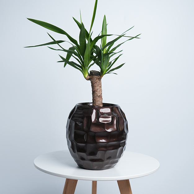 Mossaic Ball