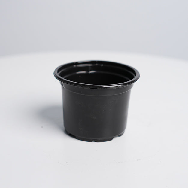 a plastic plant email Nursery Pot V9 – MyPlantShop.me