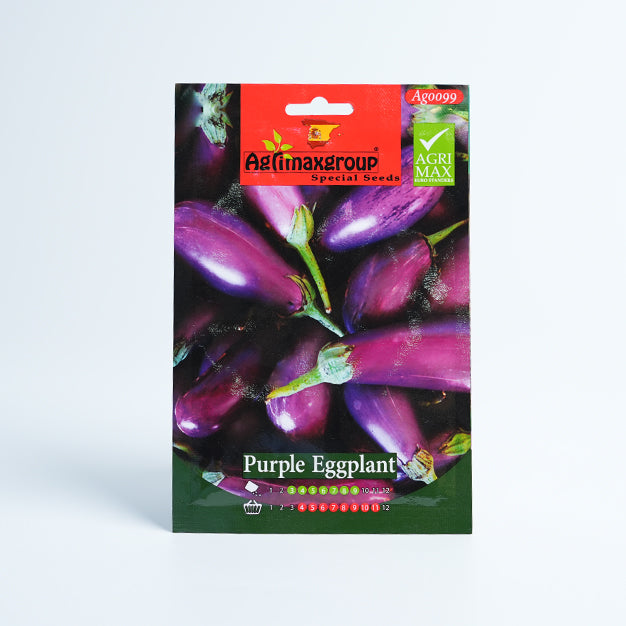 Purple Eggplant Seed