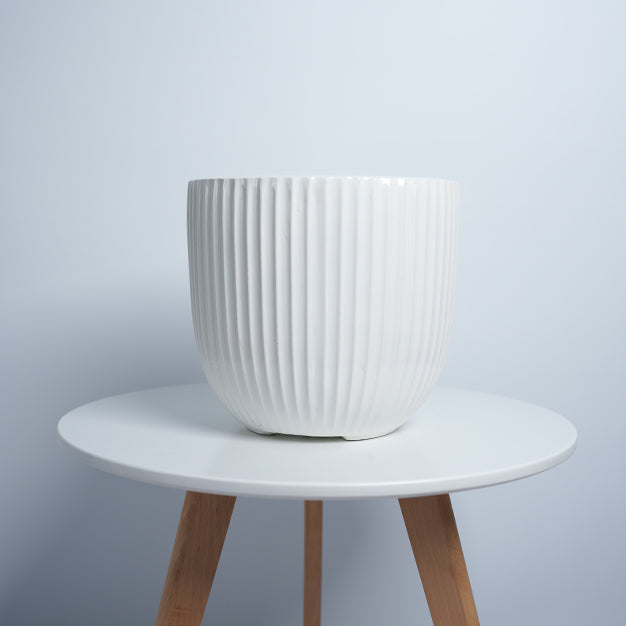 Ripps Bowl