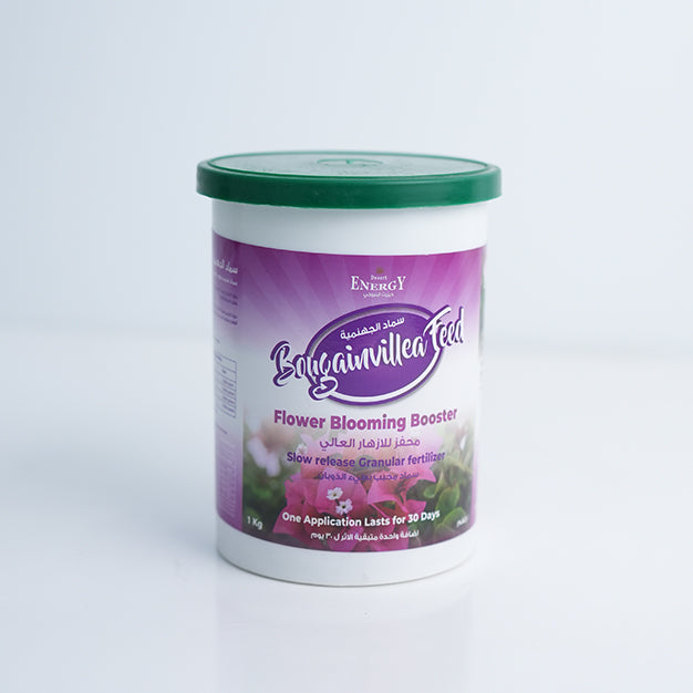 Bougenvilla Feed