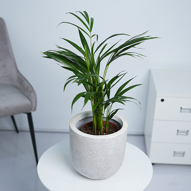Classic White Pattern GRC Planter