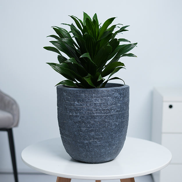 Utah Egg GRC Planter (113691)