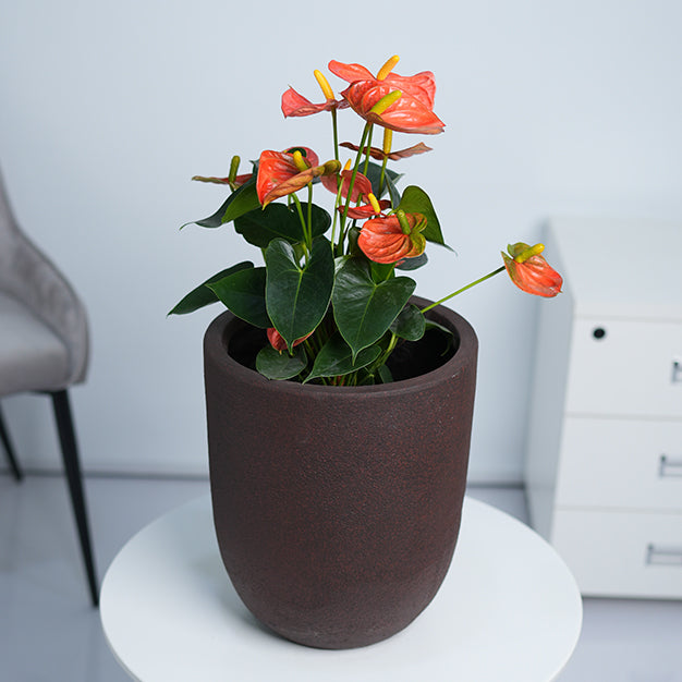 Classic Tear Drop GRC Planter