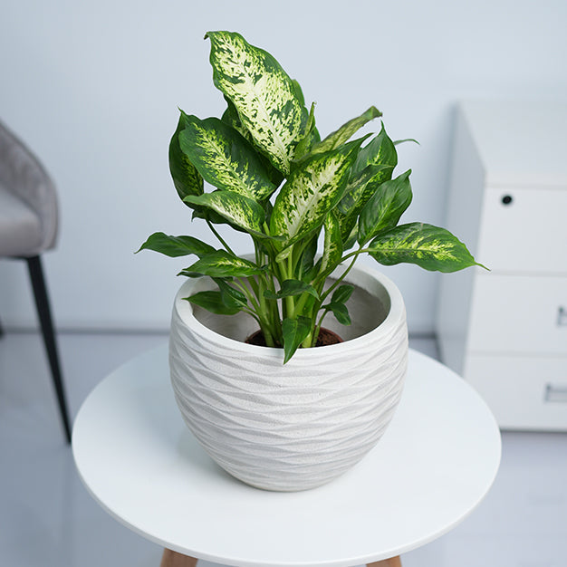 Wave Globe GRC Planter