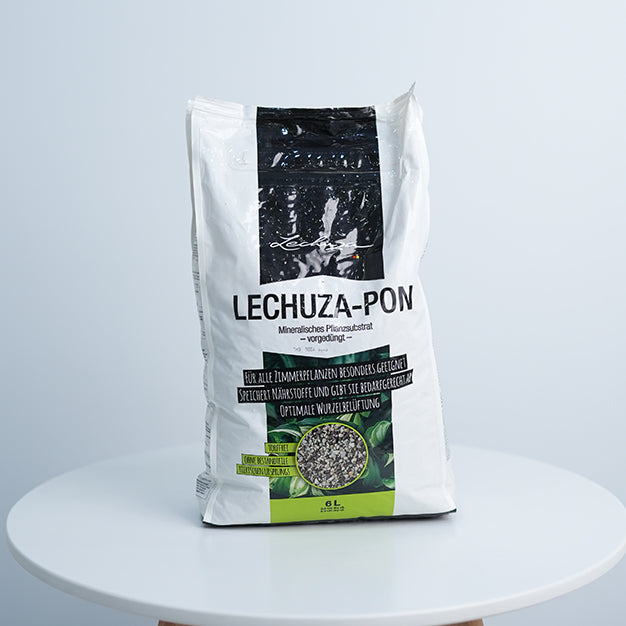 Lechuza - Pon