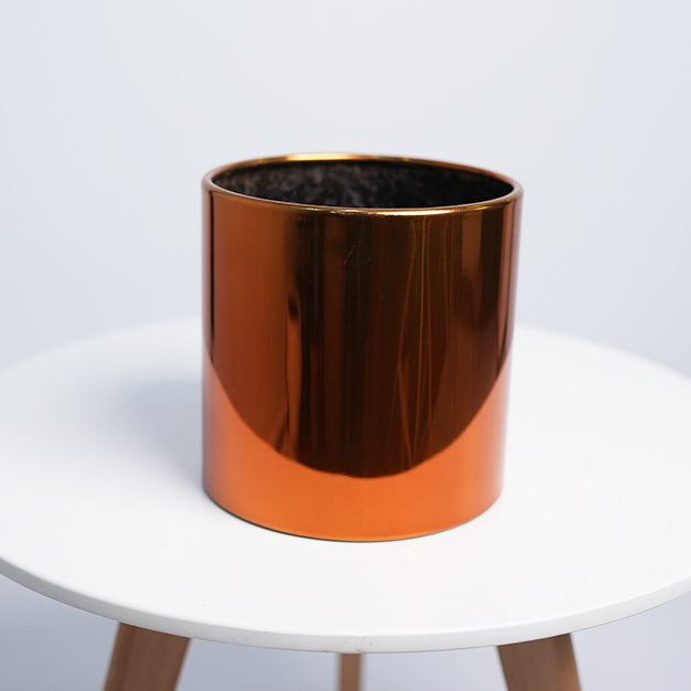 SS Classic Cylinder - Satin