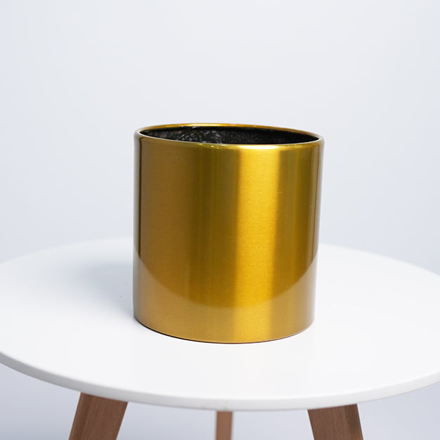 SS Classic Cylinder - Satin