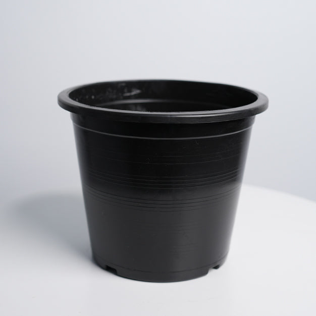 Nursey Pot 10 Ltr