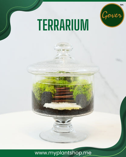 Terrarium