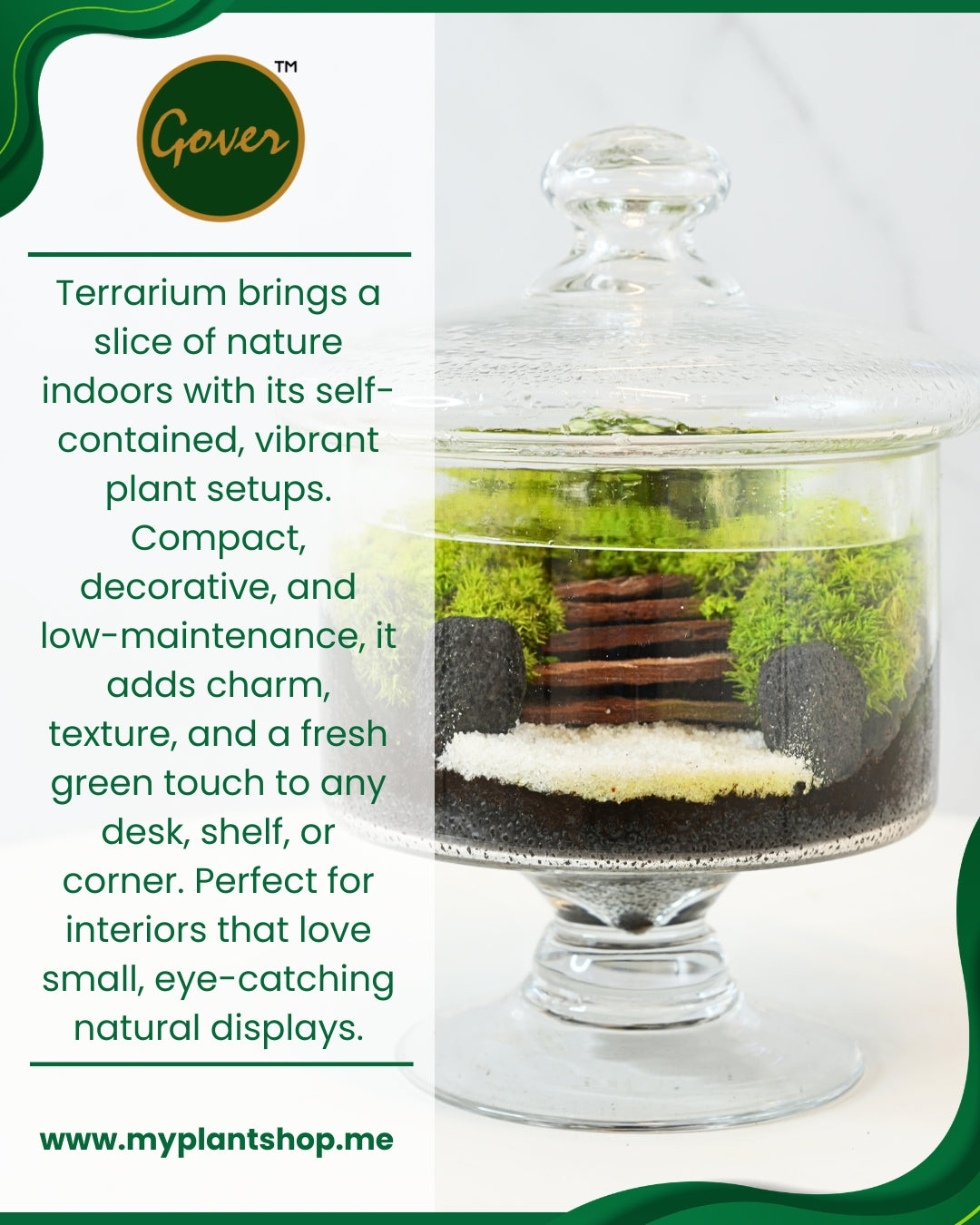 Terrarium