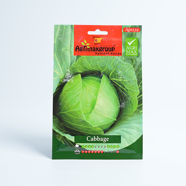 Cabbage Seed