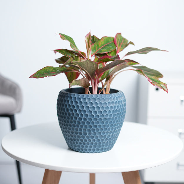 Dotted Globe GRC Planter