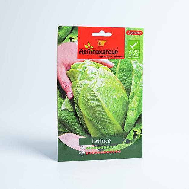 Lettuce Seed