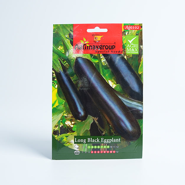 Long Black Eggplant Seed