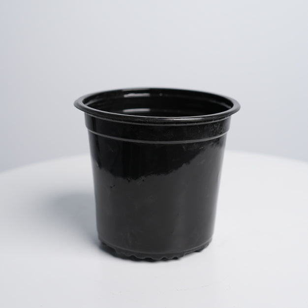 Nursery Pot 4 Ltr