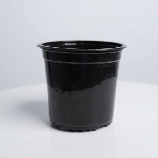 Nursery Pot 6 Ltr