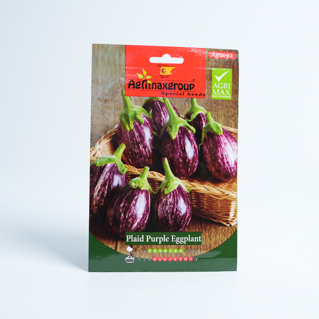 Plaid Purple Eggplant Seed