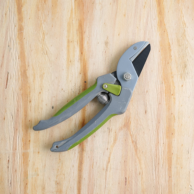 Secateurs