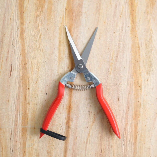 SUMORY Pruning Shears