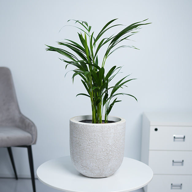 Classic White Pattern GRC Planter