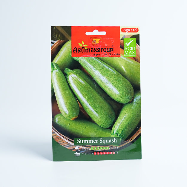 Summer Squash Seed